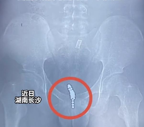 宅生活新篇章，宅男频道全新上线！