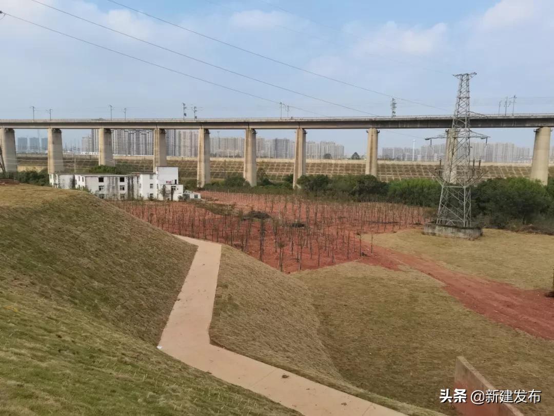 高铁护坡工程价格详解，全面解析与案例洞察分析