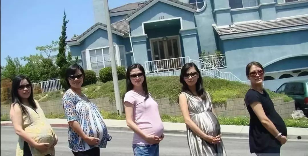 美国生子最新资讯深度解析，潮流背后的趋势与洞察