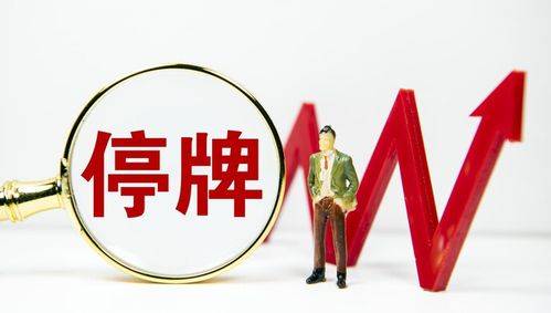 股票停牌原因深度解析，背景、事件、影响与时代地位探讨