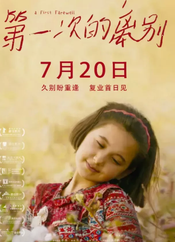 关于AV成人电影的在线理解与科普，深度探讨涉黄问题