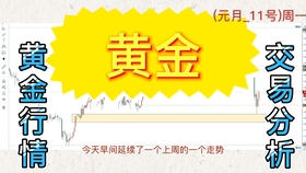 ＂2024年澳门大全免费金锁匙＂的：解析解释说法_未来版3.15