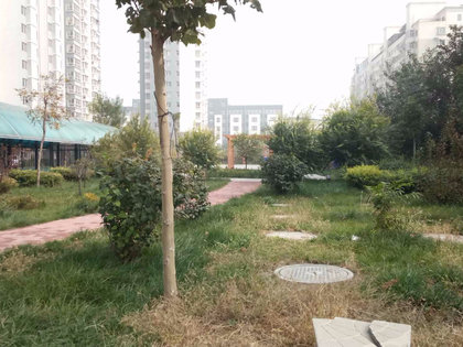 博仕园二期最新价格揭秘，探索小巷中的隐藏宝藏价值