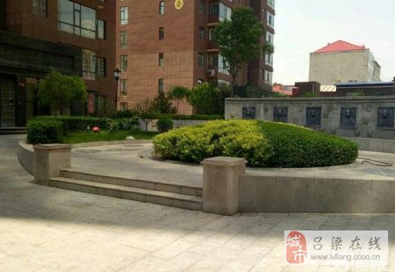 离石新房信息大揭秘，探索最新房源，寻找理想居所🏠✨