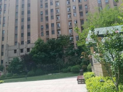 阳光城8号院最新动态速递
