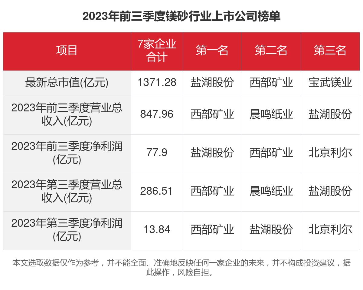 镁砂上市公司，成长之路，成就辉煌未来