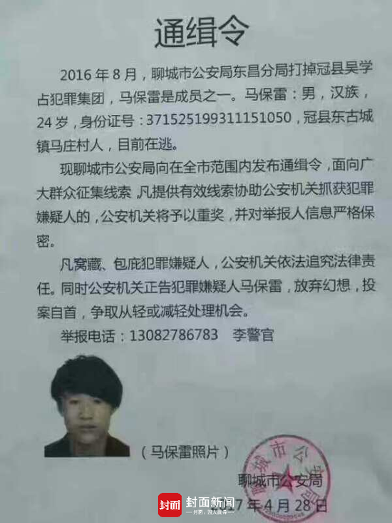河南永城杀人案最新进展，科技助力案件透明化揭秘真相之路
