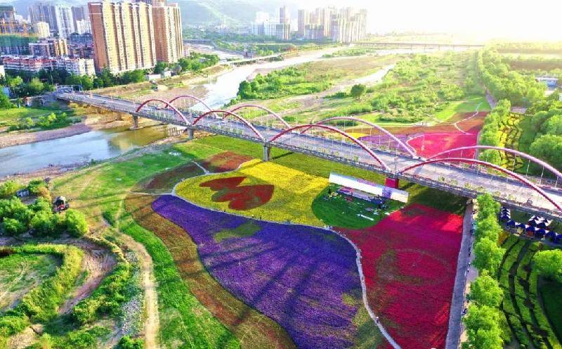 宝鸡五洲公园最新动态，家庭欢乐时光在绿意盎然中启幕