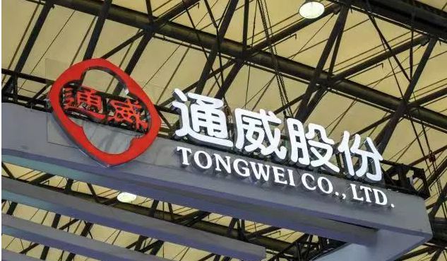 通威股份最新动态，深度分析与观点阐述
