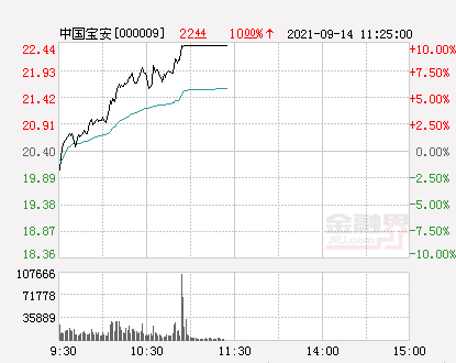 中国宝安最新动态，时事更新与日常点滴