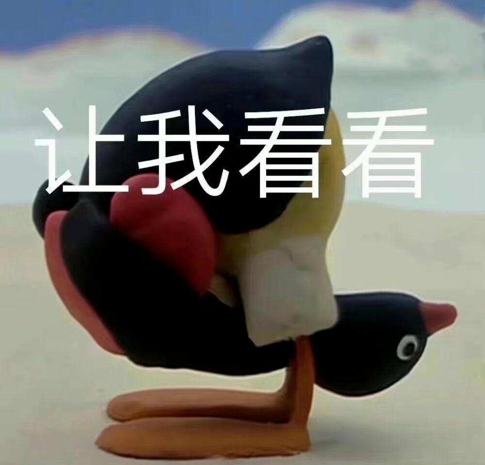钢材行情与自然美景交织的旅行对话动态