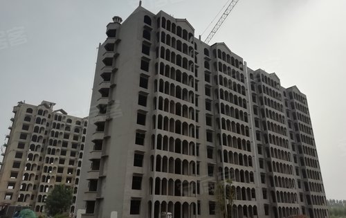 泰安南湖丽景最新动态，温馨日常的趣事与资讯更新