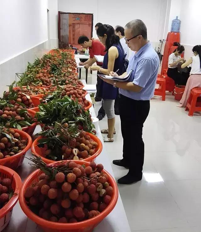 掌握信息优势，领先一步知晓世界的最新情报