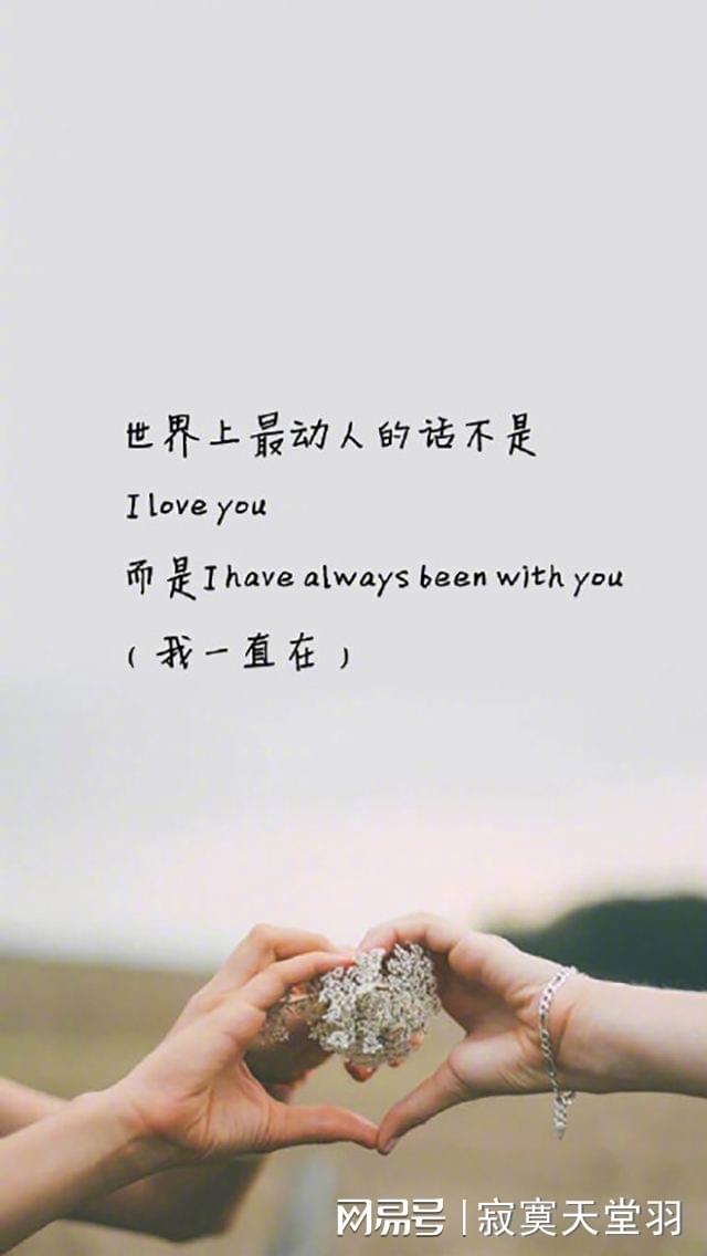 时代情感细绘，最新情感语录揭秘
