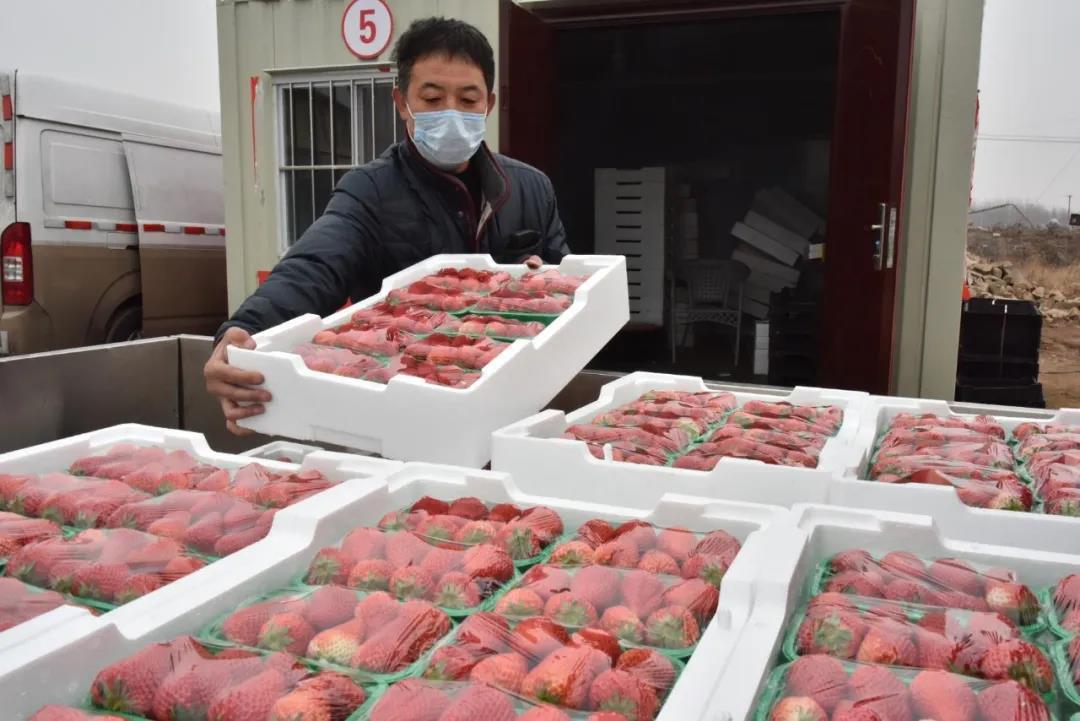 昌黎疫情最新动态更新