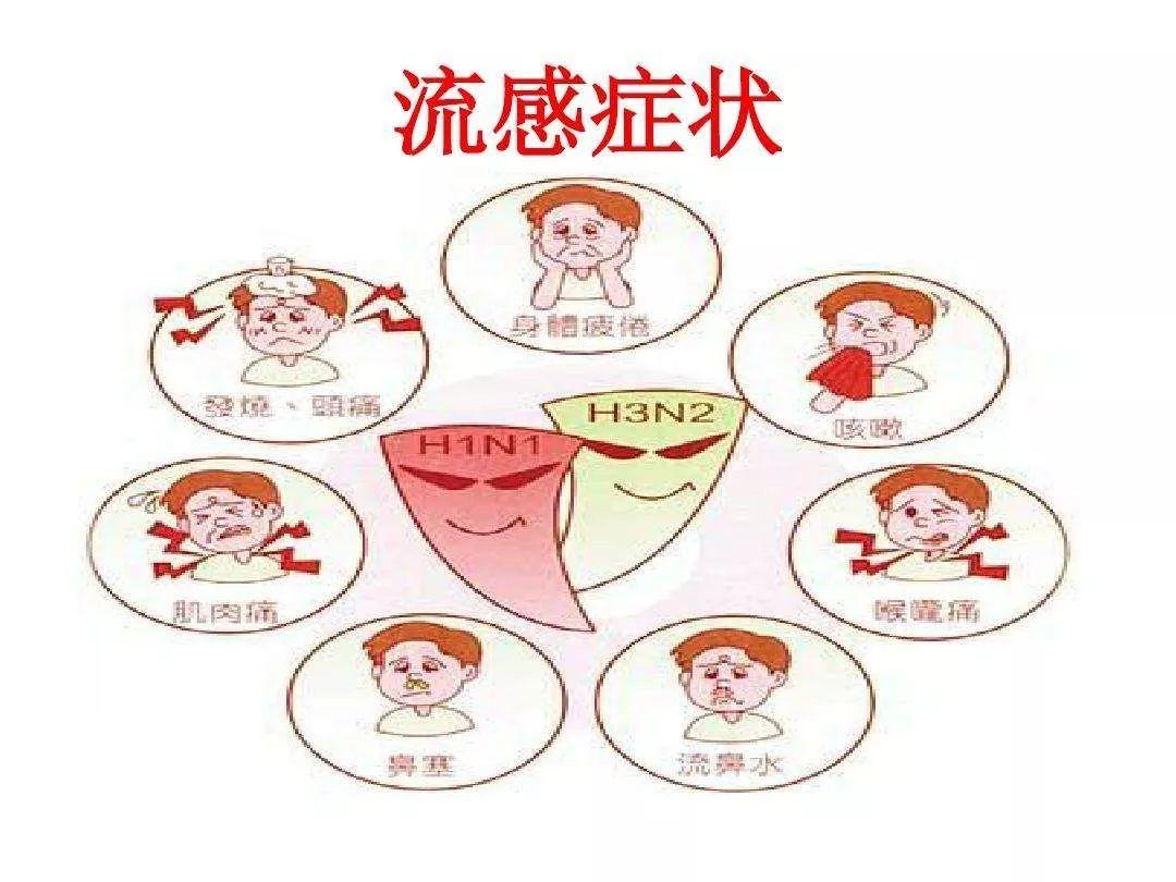 家的温馨防线面临最新流感侵袭的挑战