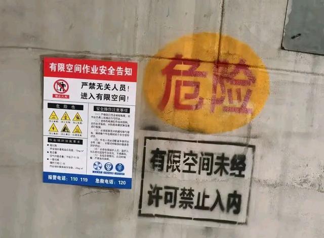 羽绒厂探秘，最新羽绒产品展示与揭秘之旅✨