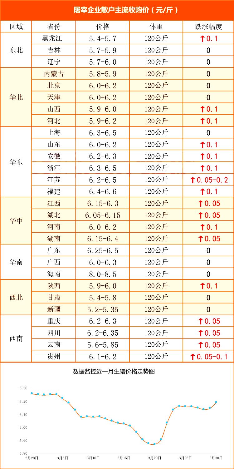辽宁生猪最新行情概览与深度分析