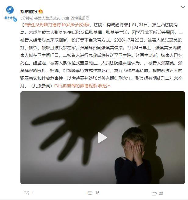 深度探讨虐死案最新要点与现状分析