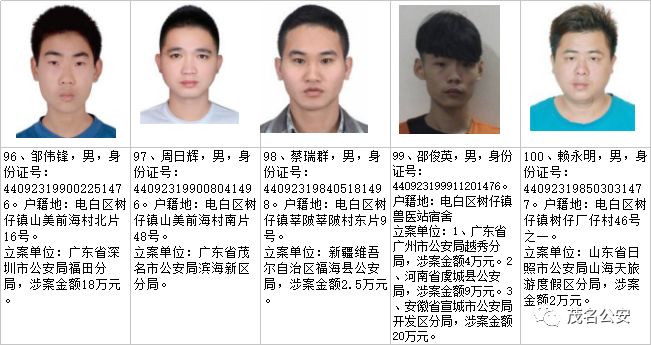 电白新闻揭秘最新诈骗案，背景、事件与影响全解析