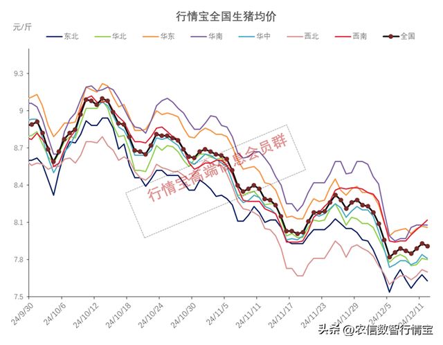 今日全国猪价最新预测分析，未来走势及影响因素解读