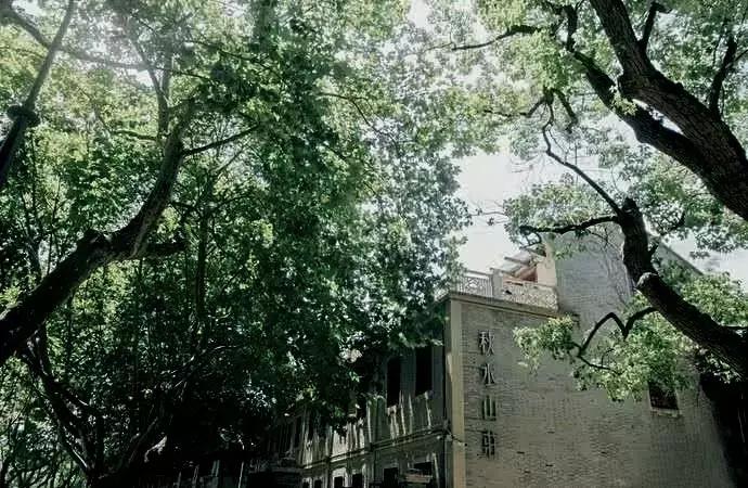 清涧县最新新闻及其获取指南